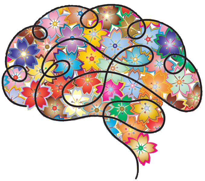 Neuropsychologie Toulouse